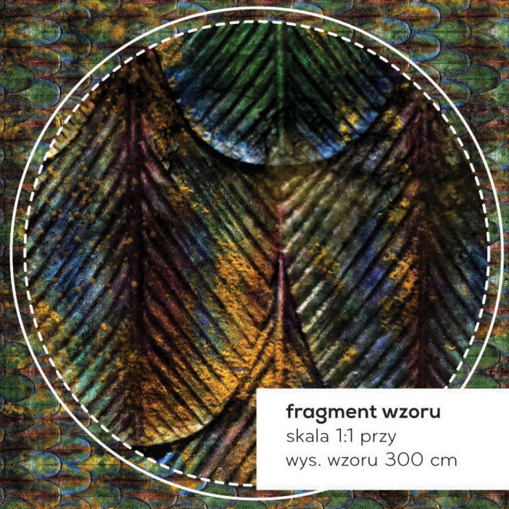 Peacock – Tapeta na wymiar