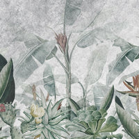 Rainforest – Tapeta na wymiar