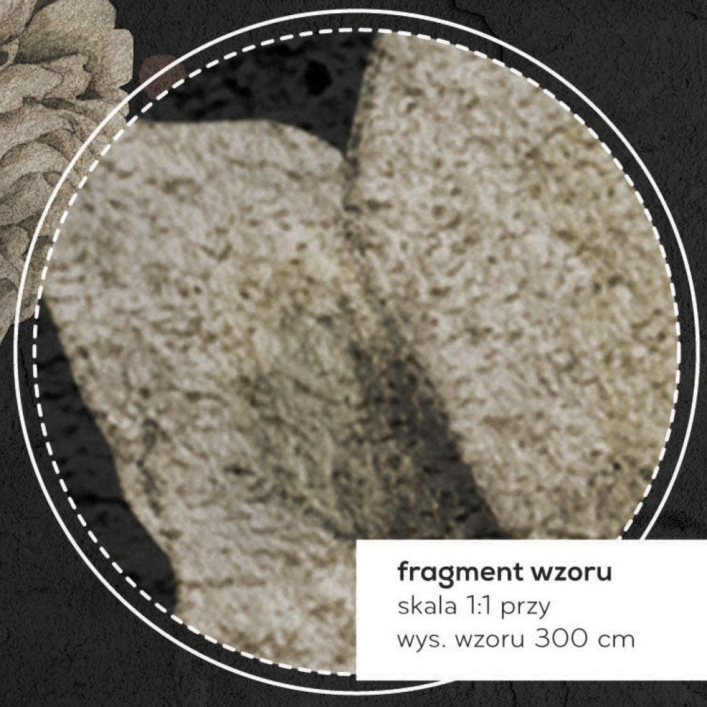 Rose Dream Black – Tapeta na wymiar