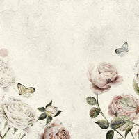 Rose Dream White – Tapeta na wymiar