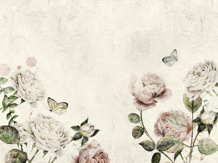 Rose Dream White – Tapeta na wymiar