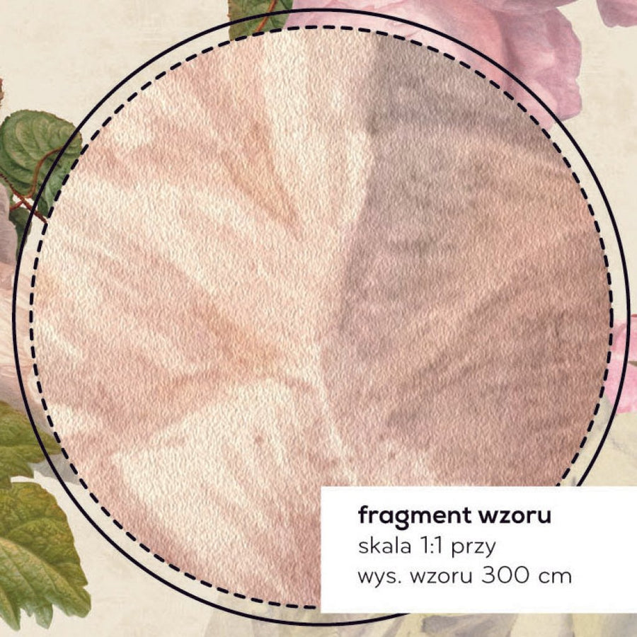 Roses Cream – Tapeta na wymiar