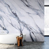 Silvering – Tapeta na wymiar