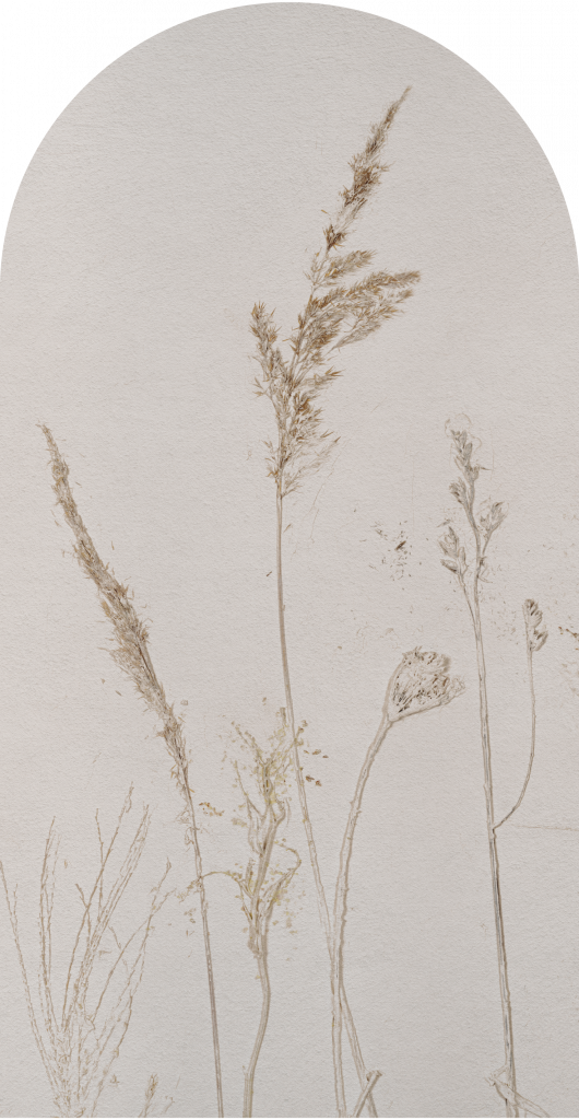 downscaled_pattern_file