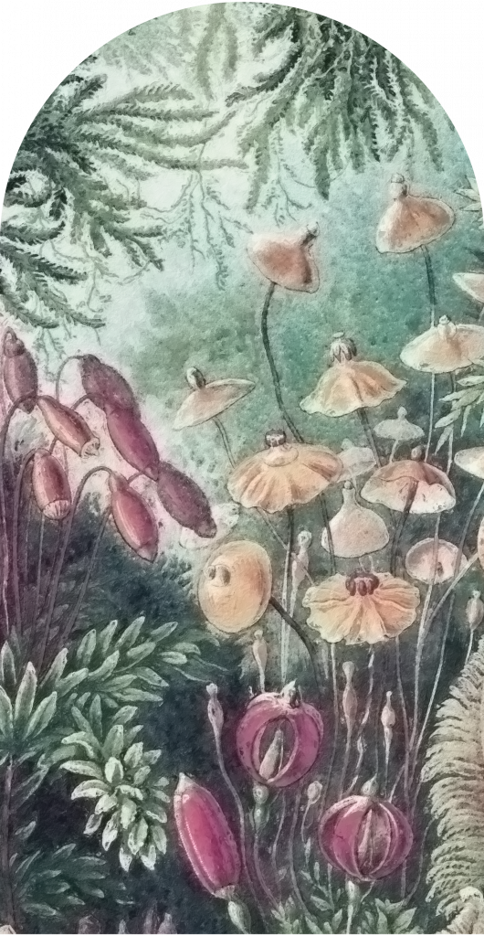 downscaled_pattern_file