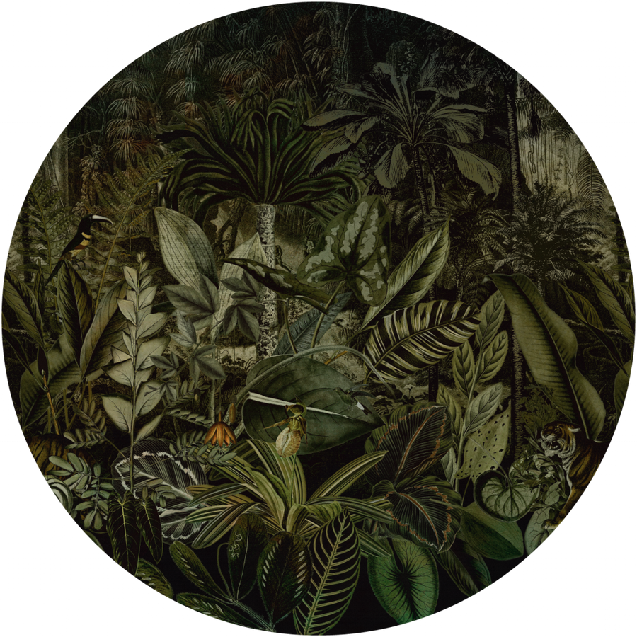 downscaled_pattern_file