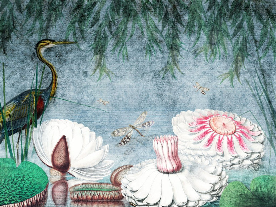 Water Lily – Tapeta na wymiar