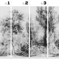 Calm Black and White – Tapeta w rolkach