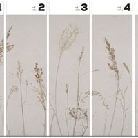 Campo di Avena – Tapeta w rolkach