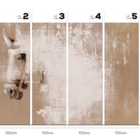 Cavallo – Tapeta w rolkach