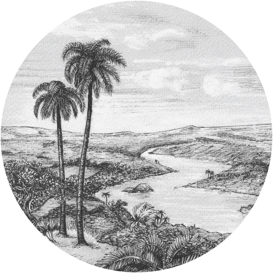 downscaled_pattern_file