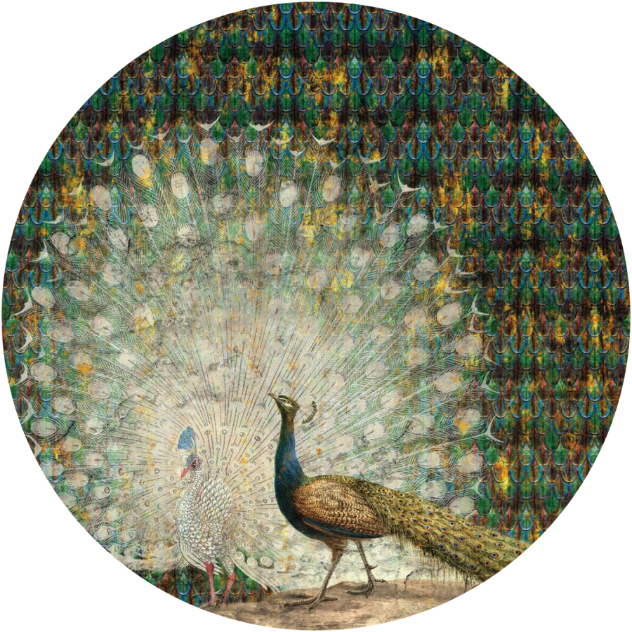 downscaled_pattern_file