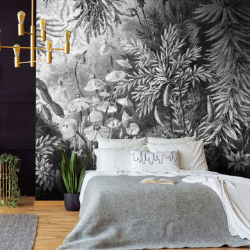 Fairytale B&W – Tapeta w rolkach