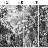 Fairytale B&W – Tapeta w rolkach