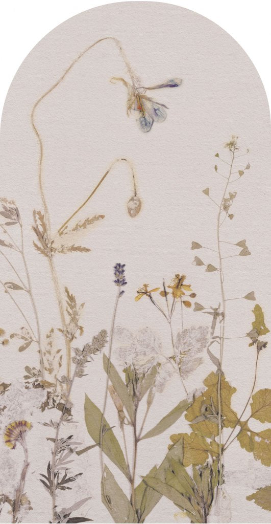 downscaled_pattern_file