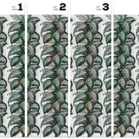 Magnifica Light – Tapeta w rolkach