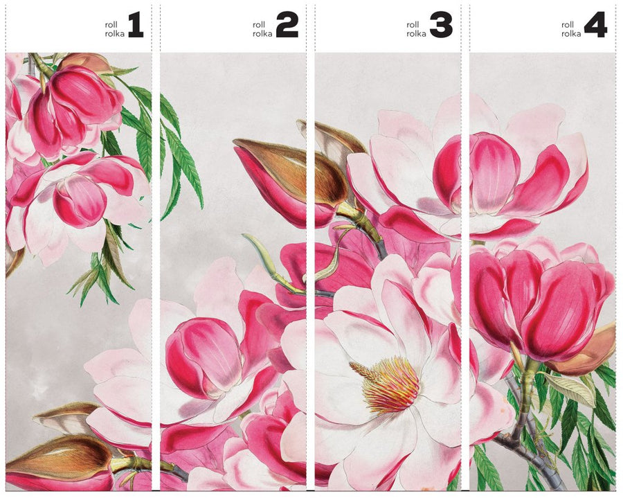 Magnolia – Tapeta w rolkach