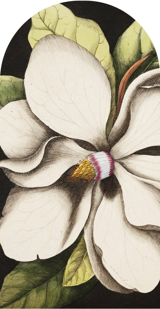 downscaled_pattern_file