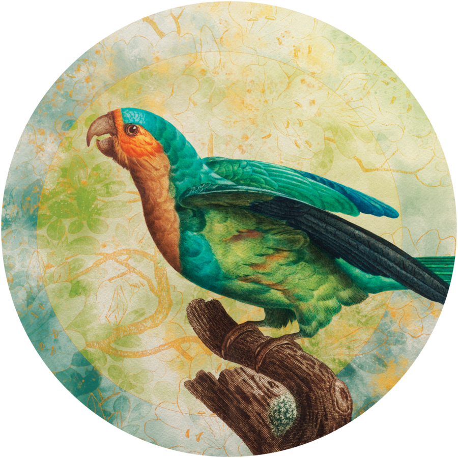 downscaled_pattern_file