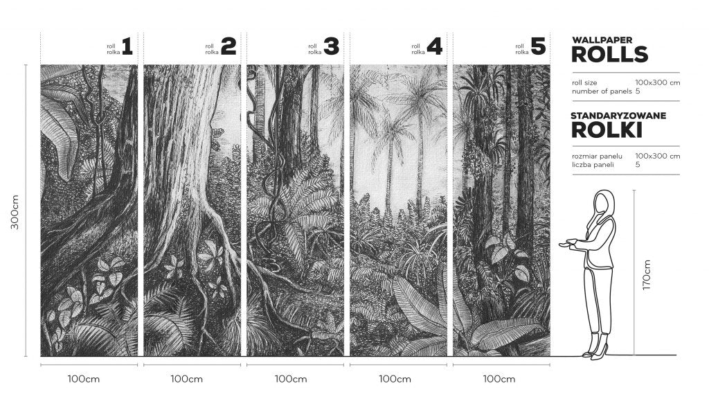 Ness – Tapeta w rolkach