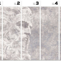 Platon – Tapeta w rolkach