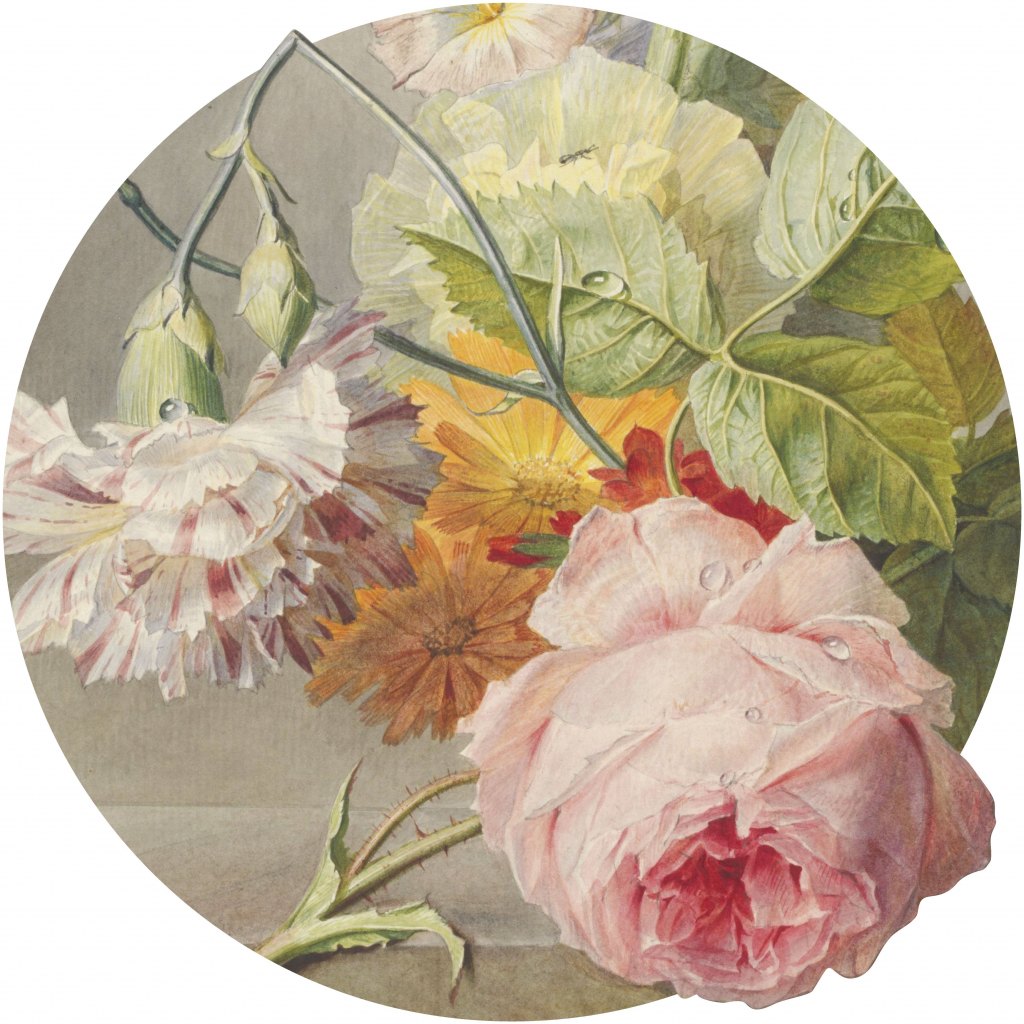 Georgious – Tapeta Koło Standard