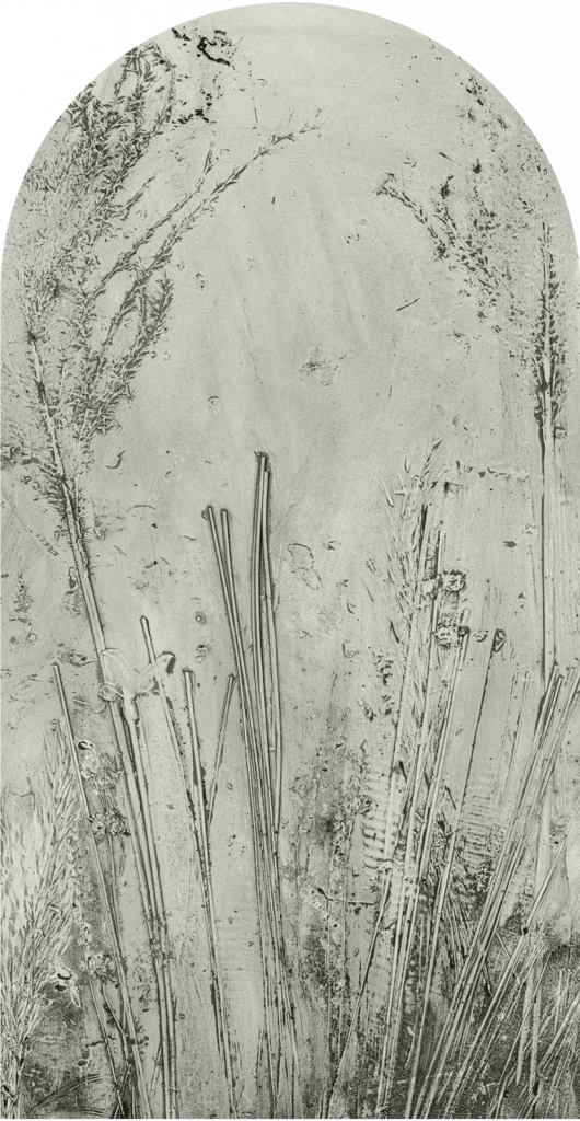 downscaled_pattern_file