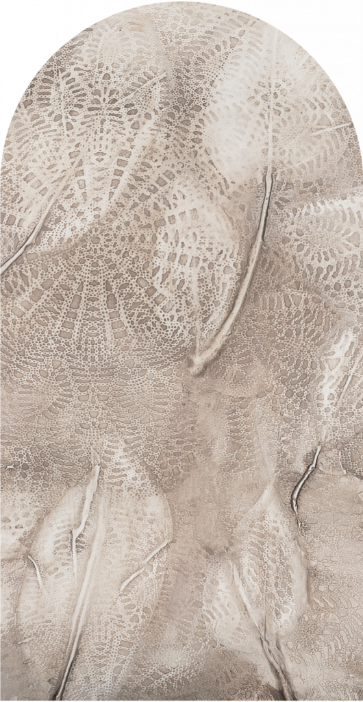 downscaled_pattern_file