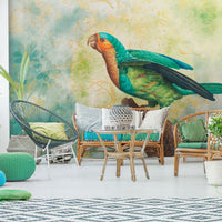 Sierra – Tapeta w rolkach