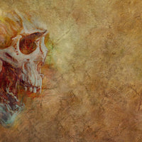 Stranger – Tapeta w rolkach