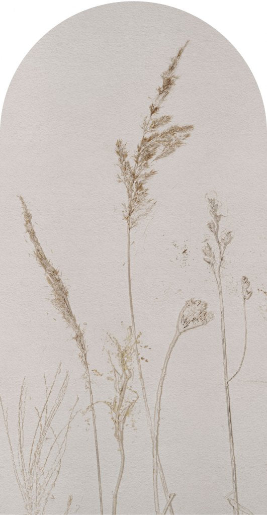 Campo di Avena – Tapeta Łuk Standard