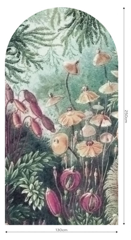 Fairytale – Tapeta Łuk Standard