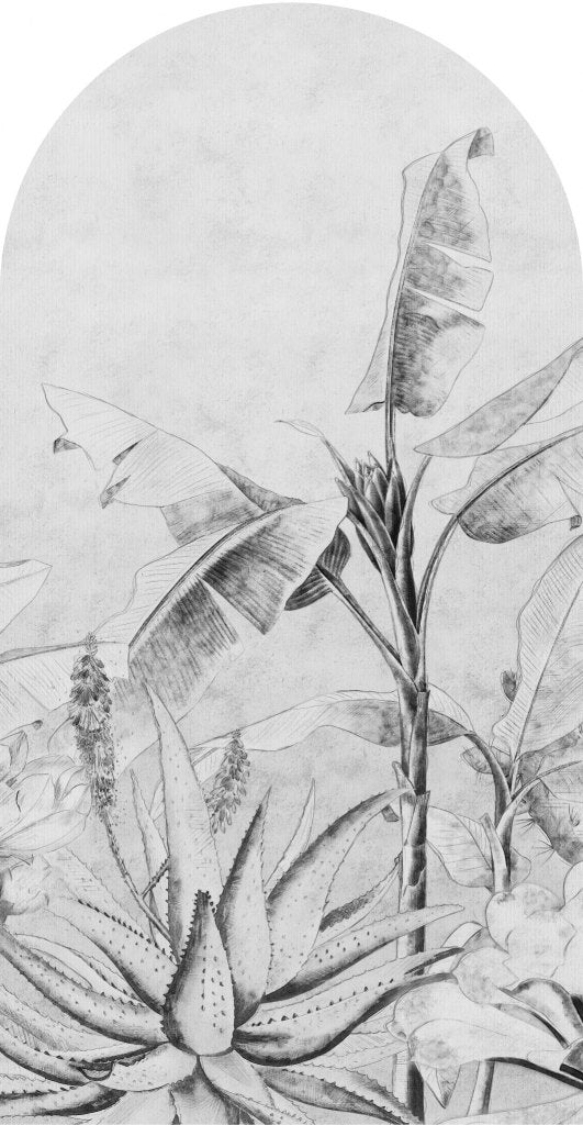 Rainforest Sketch – Tapeta Łuk Standard