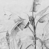 Rainforest Sketch – Tapeta Łuk Standard