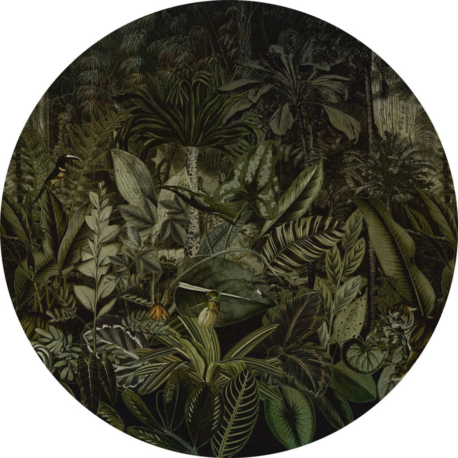 Madagascar – Tapeta Koło Standard