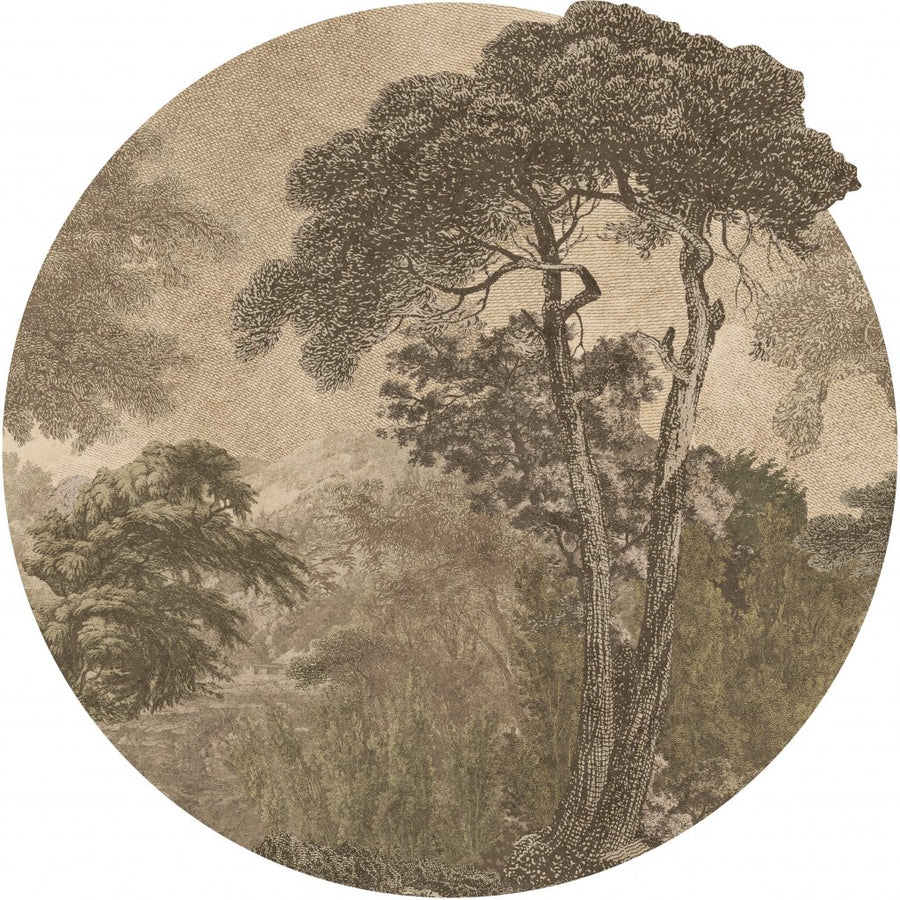 Hood Light – Tapeta Koło Standard