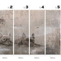 Siesta – Tapeta w rolkach