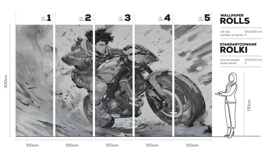 Raida – Tapeta w rolkach