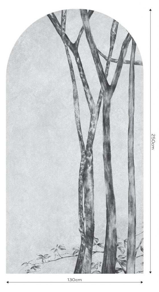 Betulla – Tapeta Łuk Standard