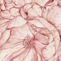 Brassica Pink – Tapeta Łuk Standard