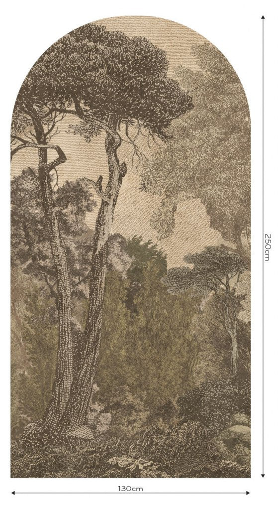 Hood Light – Tapeta Łuk Standard