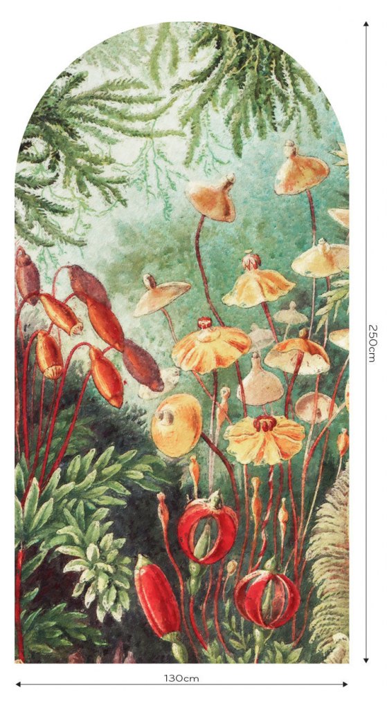 Fairytale Vivid – Tapeta Łuk Standard