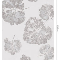 Foglia Dust – Tapeta Łuk Standard