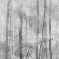 Mori Grey – Tapeta Łuk Standard