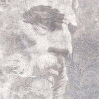 Platon – Tapeta Łuk Standard