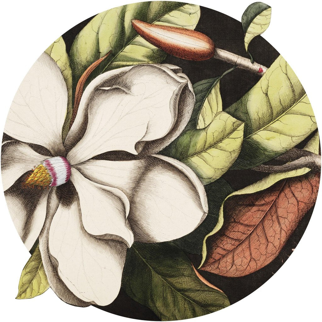 Laurel – Tapeta Koło Standard