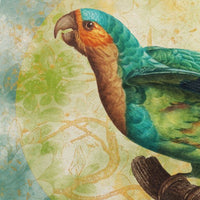 Sierra – Tapeta Łuk Standard