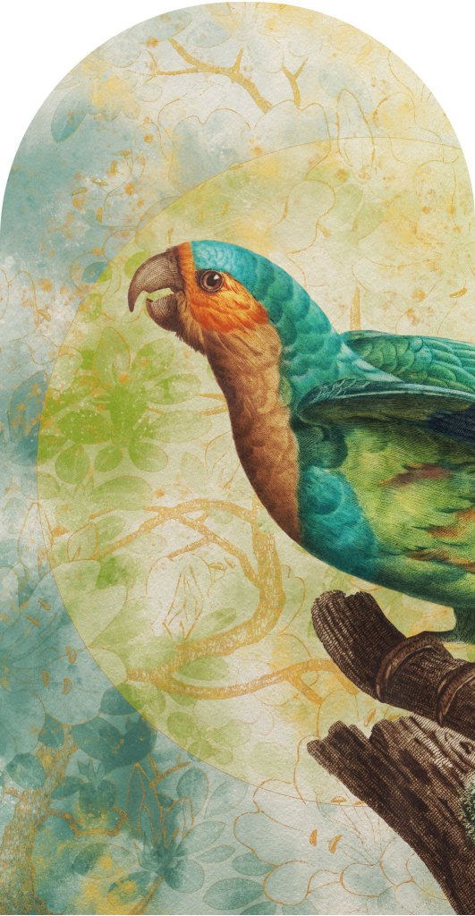 Sierra – Tapeta Łuk Standard