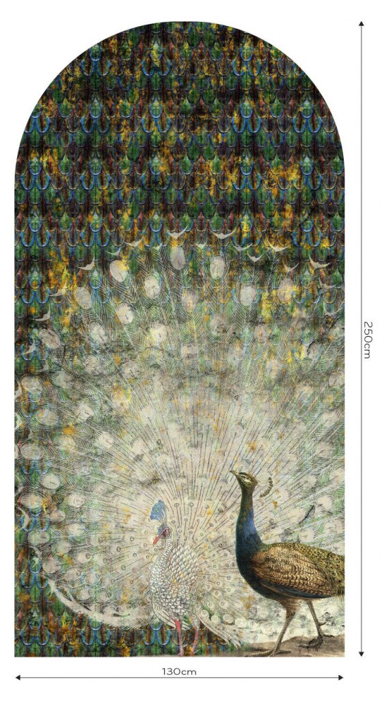 Peacock – Tapeta Łuk Standard