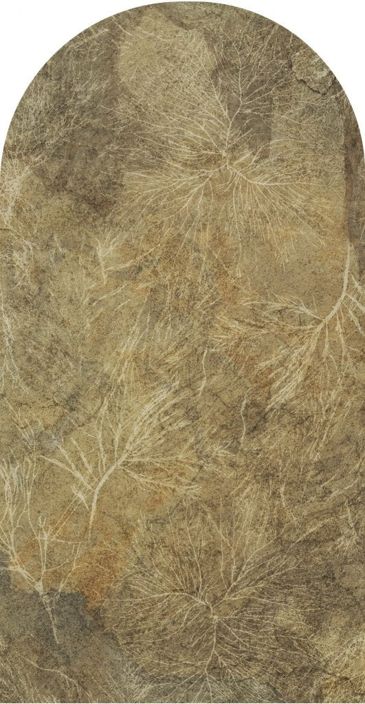 Orion – Tapeta Łuk Standard